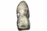 13.5" Colorful Free-Standing, Polished Jasper/Agate (43 lbs.) - #200390-2